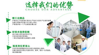 牡蠣杞草片劑OEM加工 聚焦山東市場，賦能企業網絡技術服務